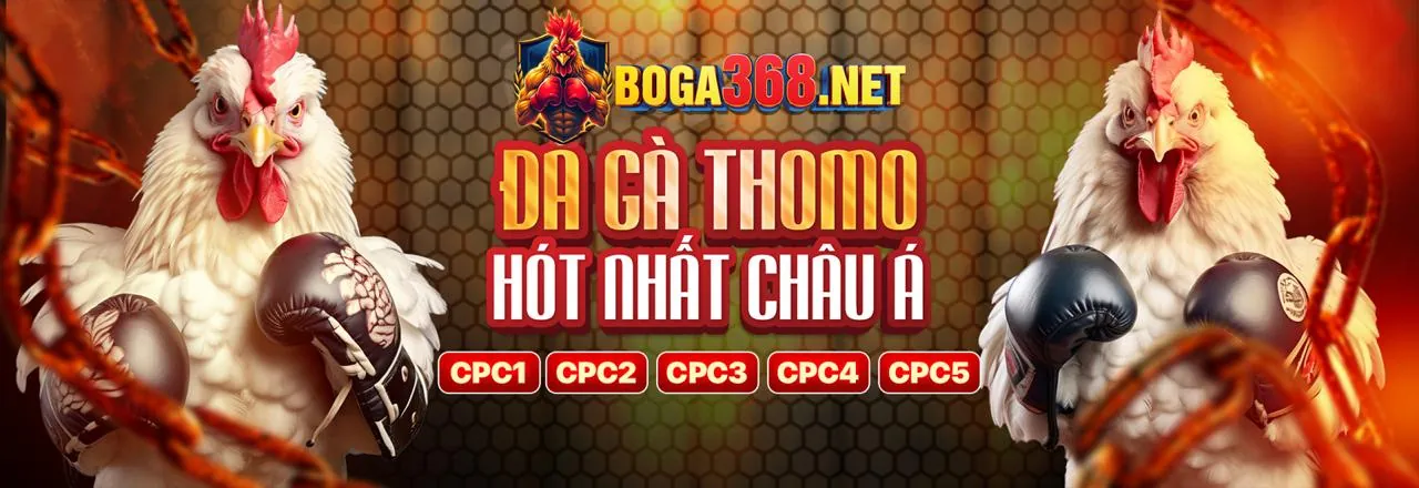 Đá Gà Trực Tuyến banca90 win 2026